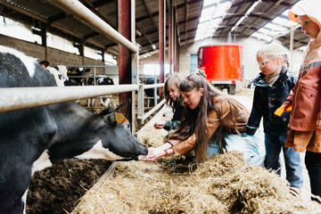 children feeding a cow on farm visit, engaging with nature