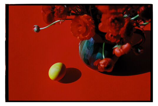 Bright yellow egg beside vibrant red flowers on bold background