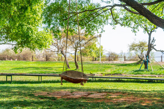 Empty swing under a tree in the park