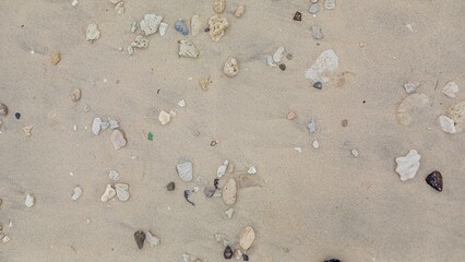 Close-up of small rocks and corals scattered on fine sandy beach.