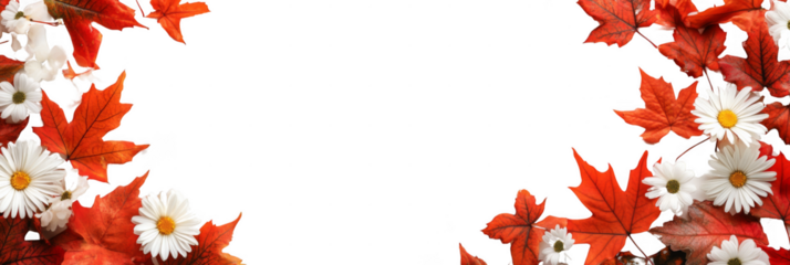 White daisies and orange autumn leaves border a black background, creating a festive and seasonal frame. Png, Transparent background.