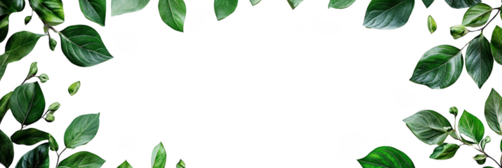 Green leaves border a black background, creating a natural, fresh frame ideal for eco-themed designs or text placement. Png, Transparent background.