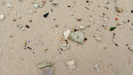 Sandy Beach with Debris