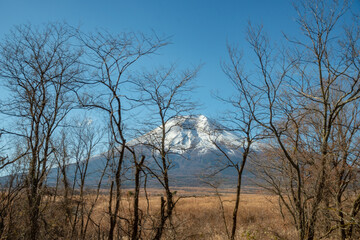 Obraz premium Mount Fuji, the iconic symbol of Japan, during the season of autumn foliage, a period of exceptional beauty.kawaguchiko,japan. 