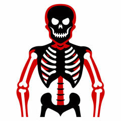 human skull and skeleton