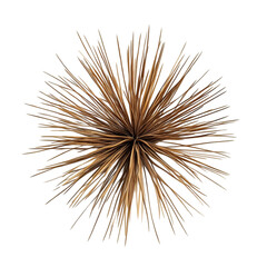 Obraz premium Abstract art featuring a central brown element radiating outwards surrounded by multicolored geometric shapes