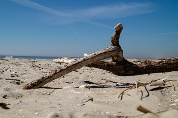 Am Strand von Blavand in Dänemark