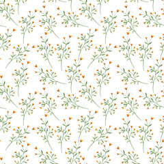 Seamless pattern. Hand drawn floral watercolor illustrations on white background. Spring and summer set of colorful plants.