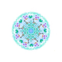 Goldfish Mandー金魚曼荼羅ー