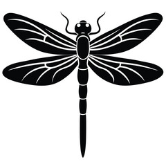 dragonfly vector illustration