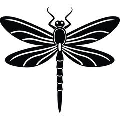 Dragonfly vector illustration of a green insect with delicate wings, isolated on a white background for nature and wildlife designs