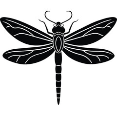 Green dragonfly insect with delicate wings flying in a nature vector illustration isolated on white