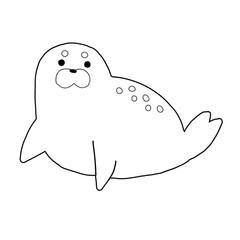 アザラシ