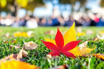 Colorful autumn leaves on the grass in a public park during a sunny day with people blurred in the background enjoying the outdoors