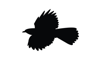 Flying Alpine chough bird Silhouette Design  And Vector Illustration. 