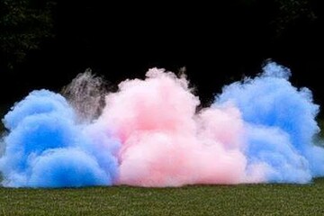 Colorful smoke explosion during a gender reveal celebration in a park, showcasing blue and pink hues against a green backdrop