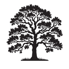 Obraz premium Oak Tree SVG 