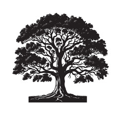 Fototapeta premium Oak Tree SVG 