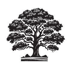 Fototapeta premium Oak Tree SVG 