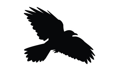 Flying Alpine chough bird Silhouette Design  And Vector Illustration. 