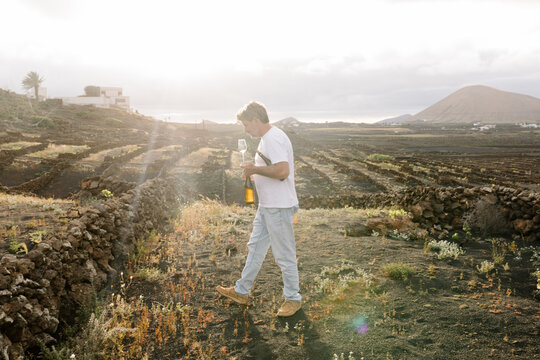 Organic wine producer walking through his vineyard at sunset