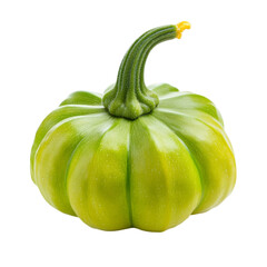 A single green round squash with a thick stem on a white background