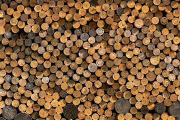 The firewood, neatly cut, stacked and prepared for winter.