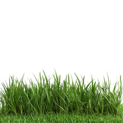 Fototapeta premium Lush green grass with abstract colorful background