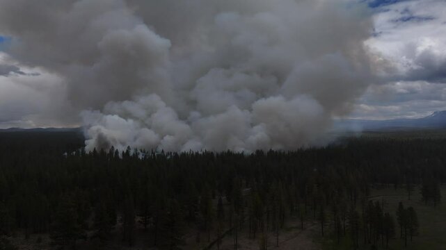 Wildfire smoke and forest fire burning trees 4k aerial drone video