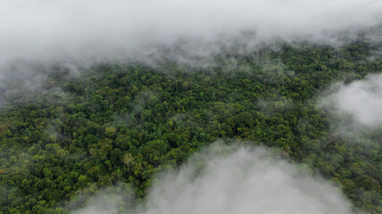 AERIAL VIEW OF FLOODED FORESTS IN THE PERUVIAN AMAZON RAINFOREST, AERIAL DRONE PHOTOGRAPHY OF THE NANAY RIVER AND THE FLOODED FORESTS OR IGAPOS