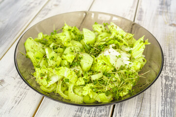 Fresh green microgreen salad on a light blue plate. A natural and organic concept for healthy eating and spring or summer food presentations.