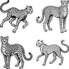  African Animal Silhouettes
set of lion cub silhouette vector on white background
