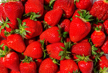 Fresh ripe strawberries close-up – vibrant red fruit background