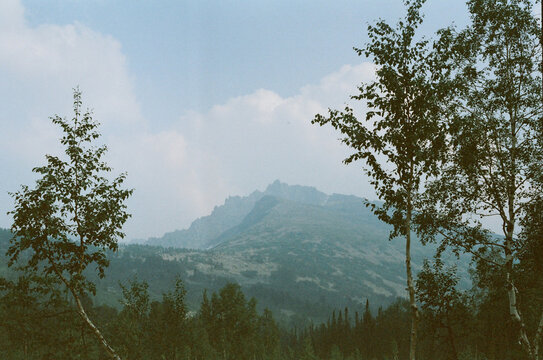 Mountain landscape with trees under cloudy sky in wilderness setting 