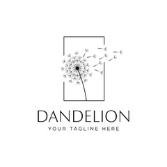 illustration of dandelion flower concept