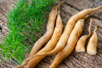 Shatavari or Asparagus racemosus roots on wooden background. herbal or ayurvedic medicine