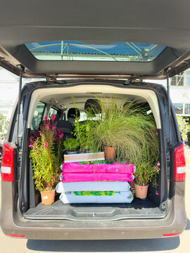 Plants and garden supplies loaded in car trunk
