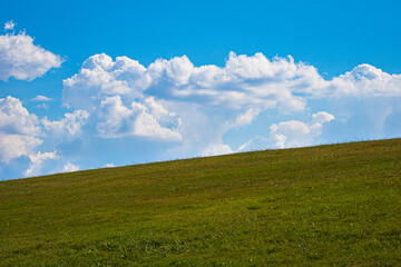 Obraz premium green field and blue sky