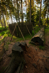 Landscape photography full of forests, rocks and paths
