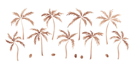 Palms and coconuts. Exotic clip art hand drawn with watercolor. Mocha mousse colour. Tropical set