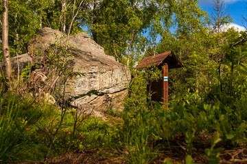 Landscape photography full of forests, rocks and paths
