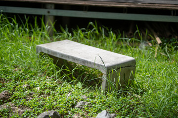Serene Concrete Bench in Lush