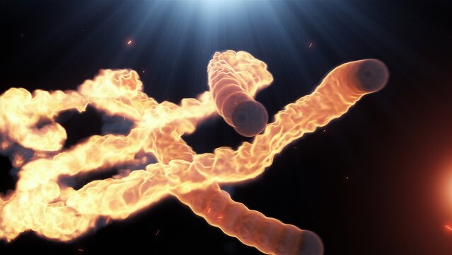 Fireball Logo Intro - Meteors Reveal