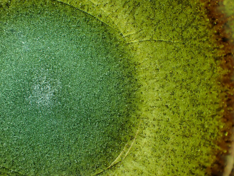 Textured background of microscopic glaze of Chinese ceramics tea cup
