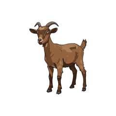 Cute Brown Goat Cartoon Vector Illustration, Ideal for Farm and Animal Themes - Eid al adha - Eid Alzha - Branding - Goat - Brown-Goat-Cartoon-Vector - silhouette