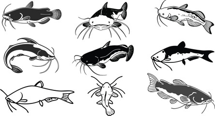 Obraz premium fish silhouette, catfish silhouettes vector design.