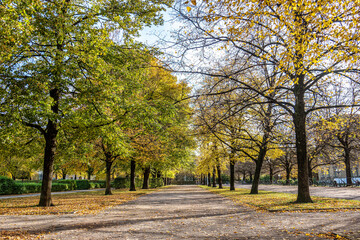 Naklejka premium Walking in Hofgarten Park in Munich on an autumn day, Germany