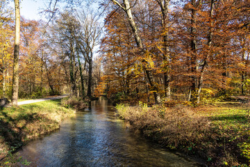 Golden autumn view in famous Munich relax place - Englischer Garten. Munich, Bavaria, Germany