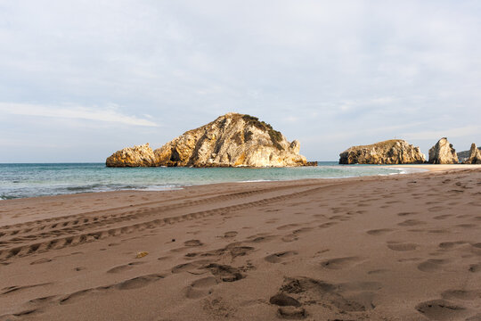 beach in the morning