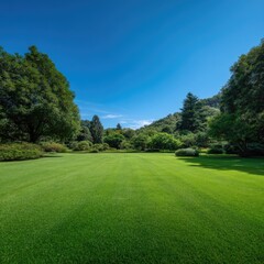 Lush green lawn stretches under a vibrant blue sky, bordered by trees and shrubs